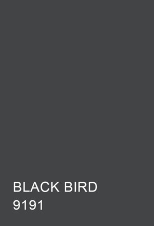 Ofszet papír Kaskad (LC) 70x100 160gr "9191" Black bird 125ív/csg